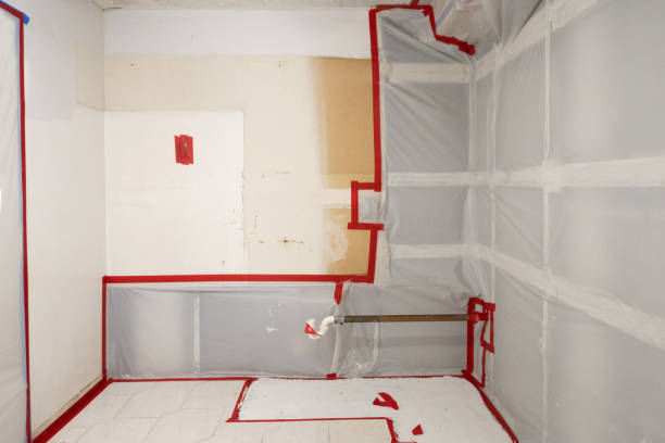  West Frankfort, IL Mold Removal Pros