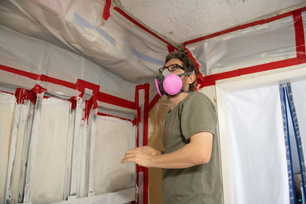 Best Mold Damage Restoration  in West Frankfort, IL