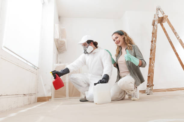 Mold Remediation for Rental Properties in West Frankfort, IL